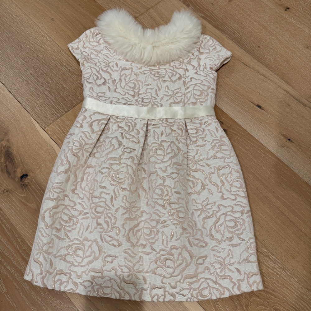 Janie and Jack Center Stage Dress with Faux Fur Collar